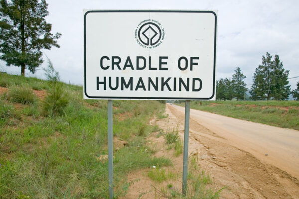 Cradle Of Humankind Half Day Tour